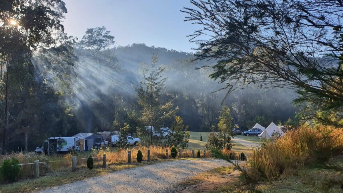 A belated new year update from our family to yours...