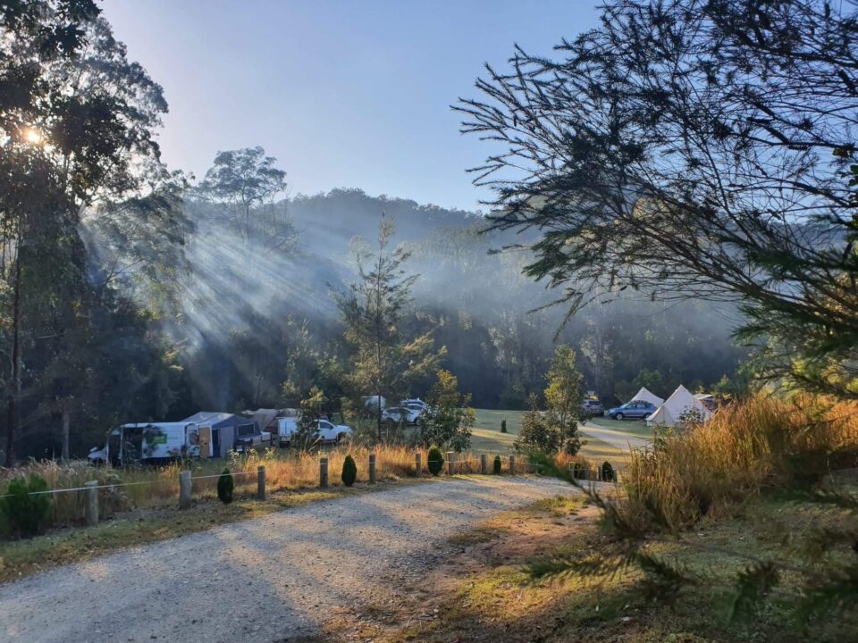 A belated new year update from our family to yours...